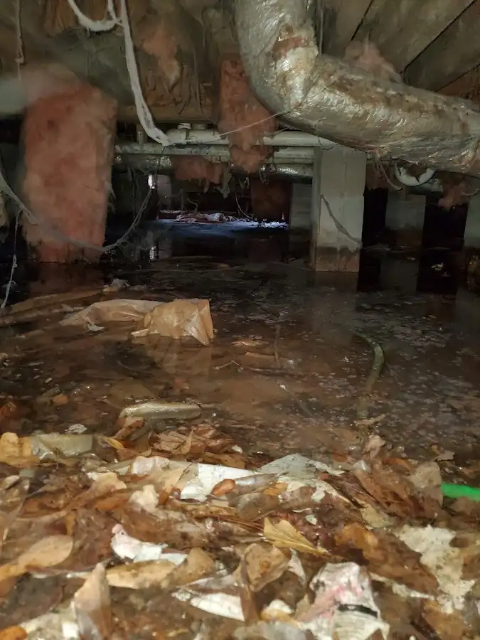 Crawl space flood assessment for Commercial Water Damage Restoration in Lake Shore