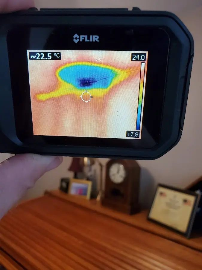 Thermal imaging inspection for water damage in Lake Shore