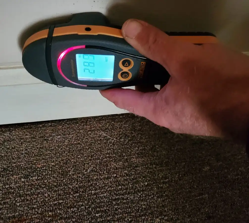 Moisture detection at baseboard during Sewage Cleanup & Sanitation in Lake Shore